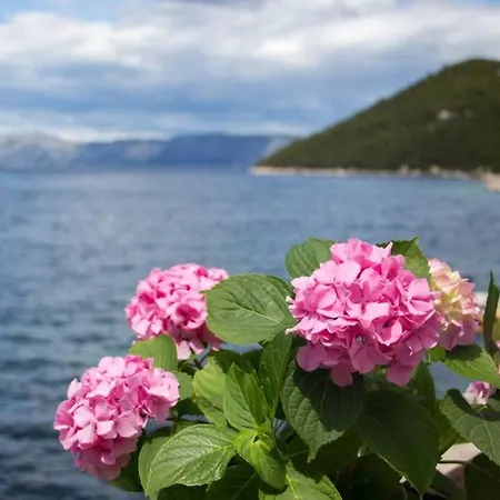 Charming By The Sea Apartmán Prožura
